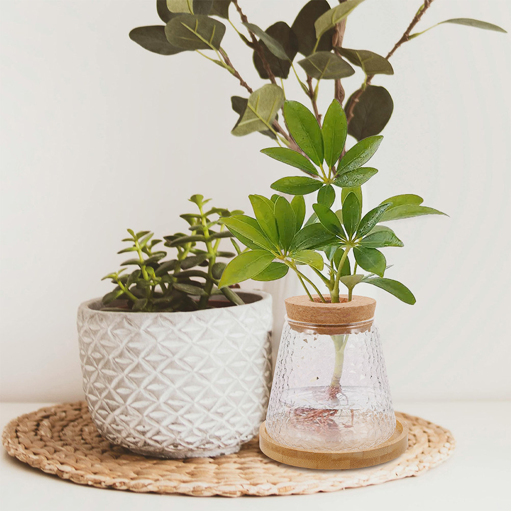 Propagation Station Vase - 2 stuks glazen hydrocultuurvaas vulkanische beker