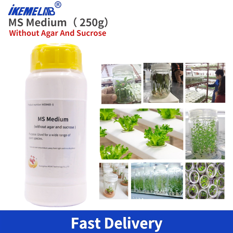 Agar Tissue Culture - IKEME Lab MS Medium 250g Zonder