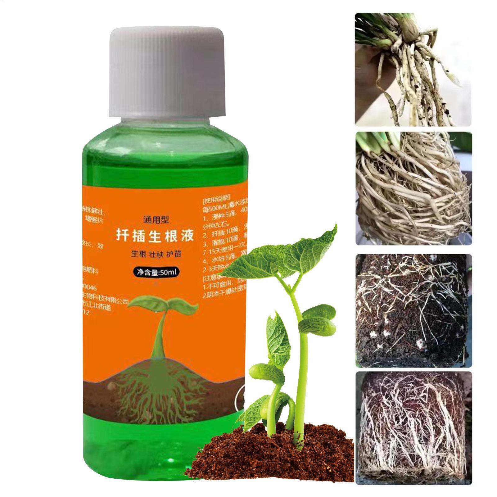 Root Stimulator Liquid - Hoogwaardige wortelstimulator voor plantenstekken, wortelbevorderaar, snelle