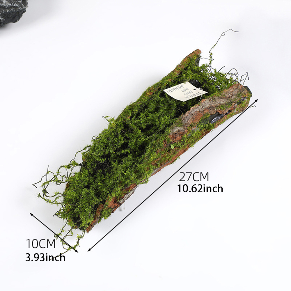 1 Imitatie Schors Mos Aanplant - Sphagnum Moss Dry recensie en prijs