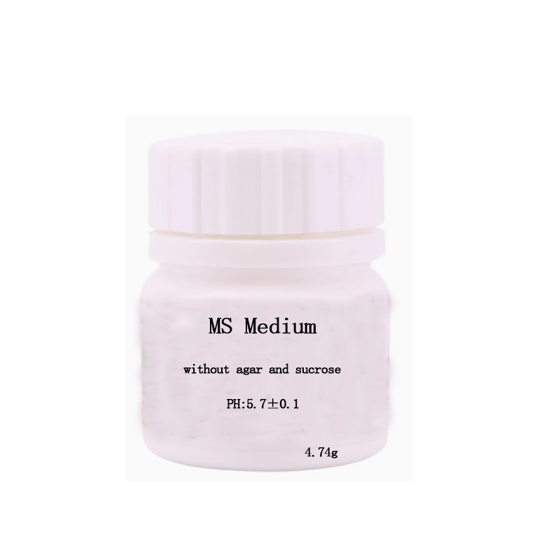 MS Medium Zonder Agar Of Sucro - Agar Tissue Culture recensie en prijs