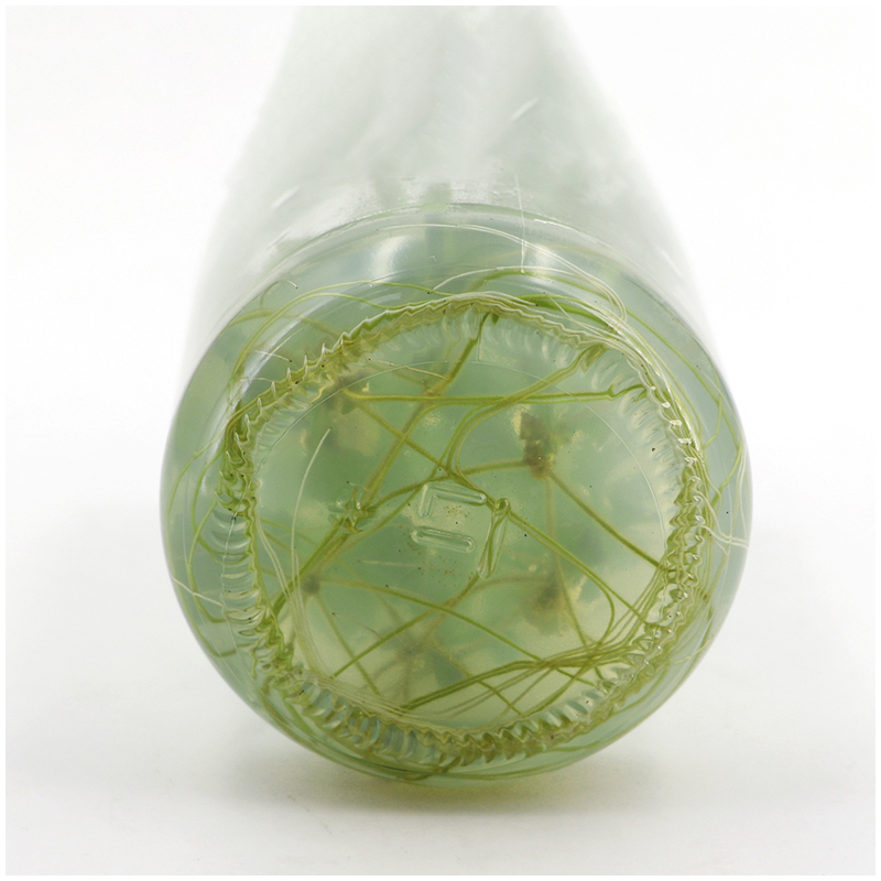 MS Medium Zonder Agar Of Sucro - Agar Tissue Culture recensie en prijs
