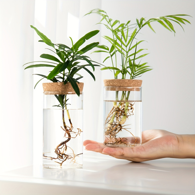 1 Stuk, Hydrocultuur Planten D - Propagation Station Vase recensie en prijs