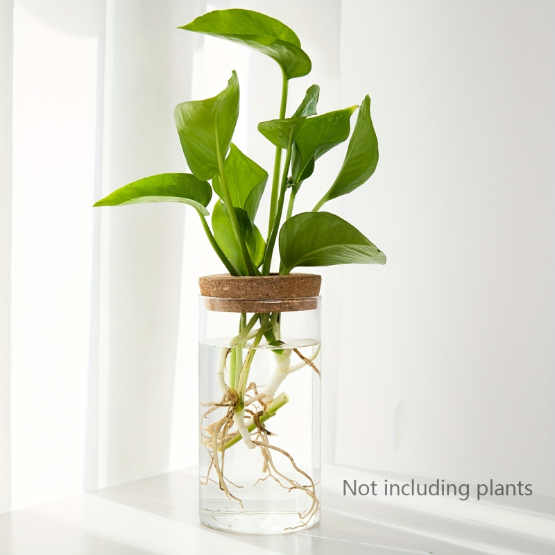 1 Stuk, Hydrocultuur Planten D - Propagation Station Vase recensie en prijs