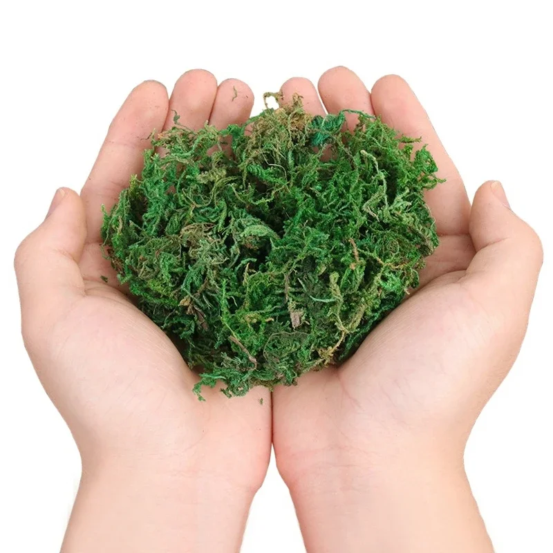 800G Droge Echte Groene Mos De - Sphagnum Moss Dry recensie en prijs