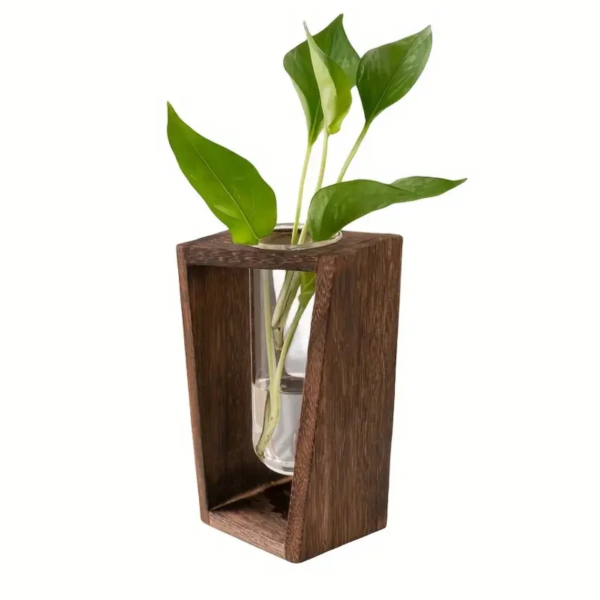 Plantenvermeerderingsstation H - Propagation Station Vase recensie en prijs