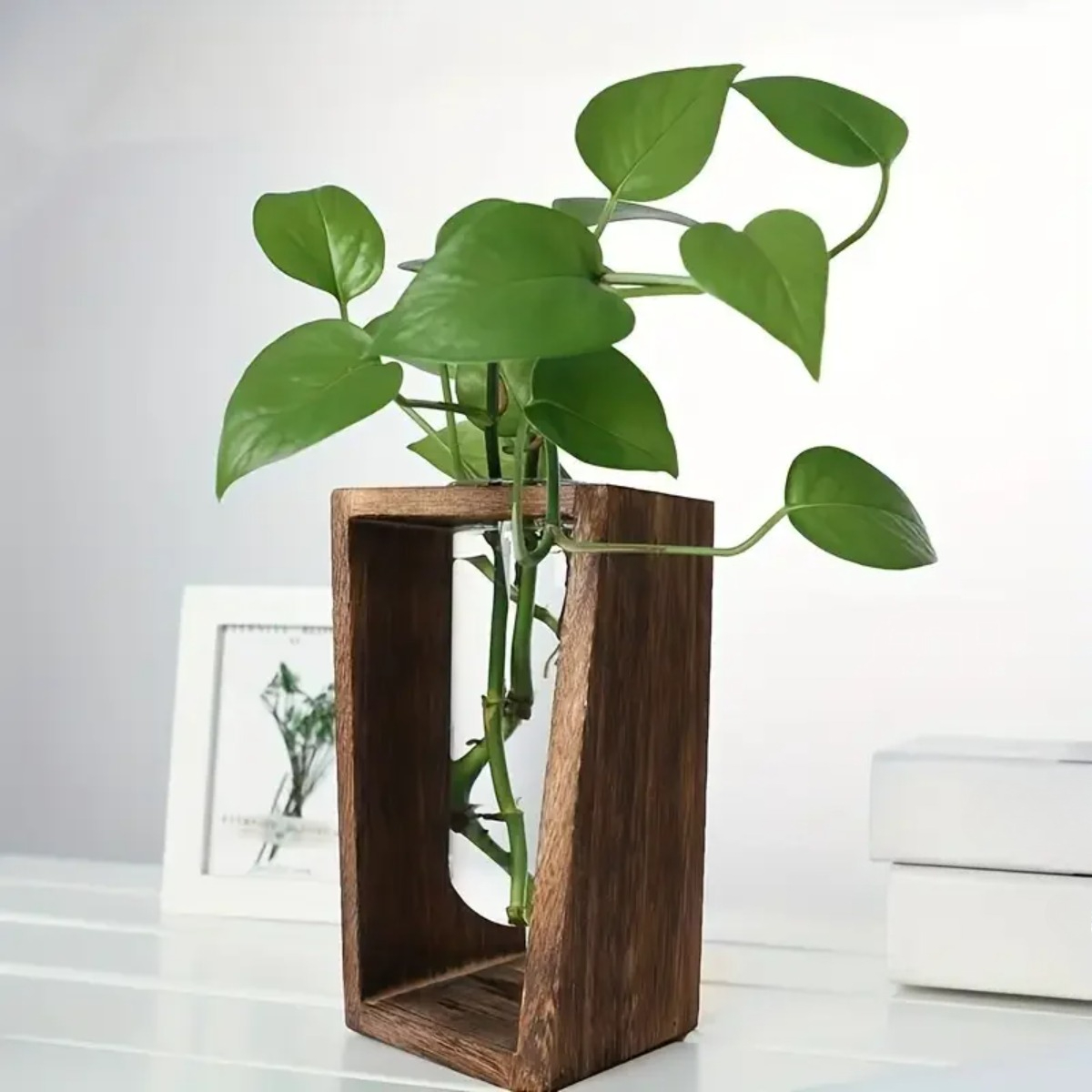 Plantenvermeerderingsstation H - Propagation Station Vase recensie en prijs