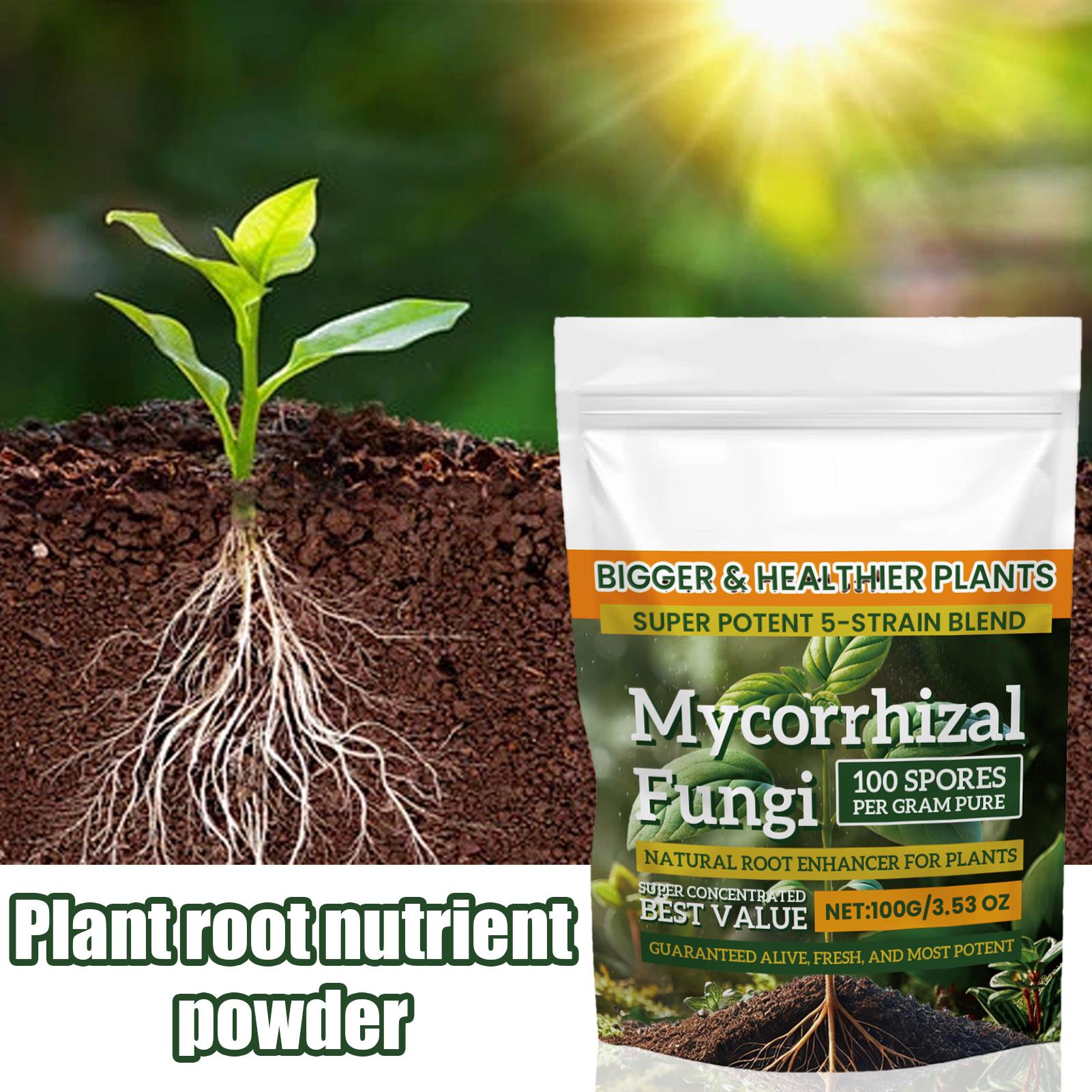 Nieuw Plantenvoedingspoeder 10 - Rooting Hormone Powder recensie en prijs