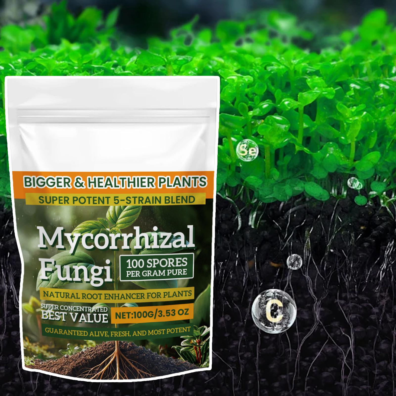 Nieuw Plantenvoedingspoeder 10 - Rooting Hormone Powder recensie en prijs