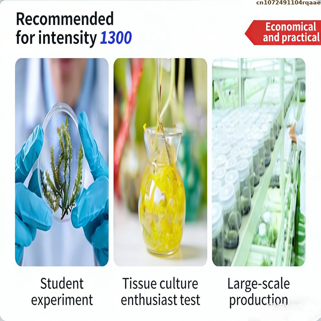 Premium plantenweefselkweekaga - Agar Tissue Culture recensie en prijs