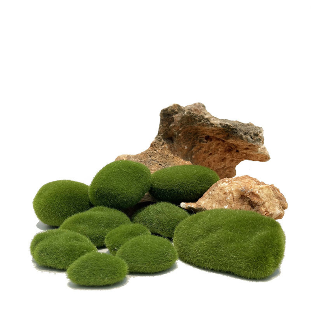 Kunstmatige Fake Moss Rock Ete - Sphagnum Moss Dry recensie en prijs