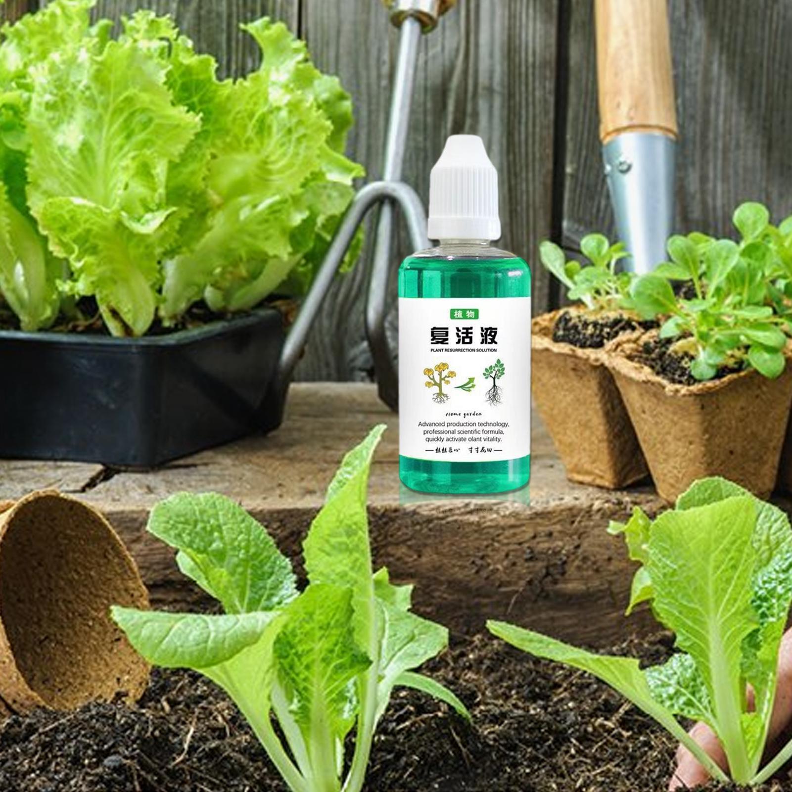 Wortelstimulator voor planten  - Root Stimulator Liquid recensie en prijs