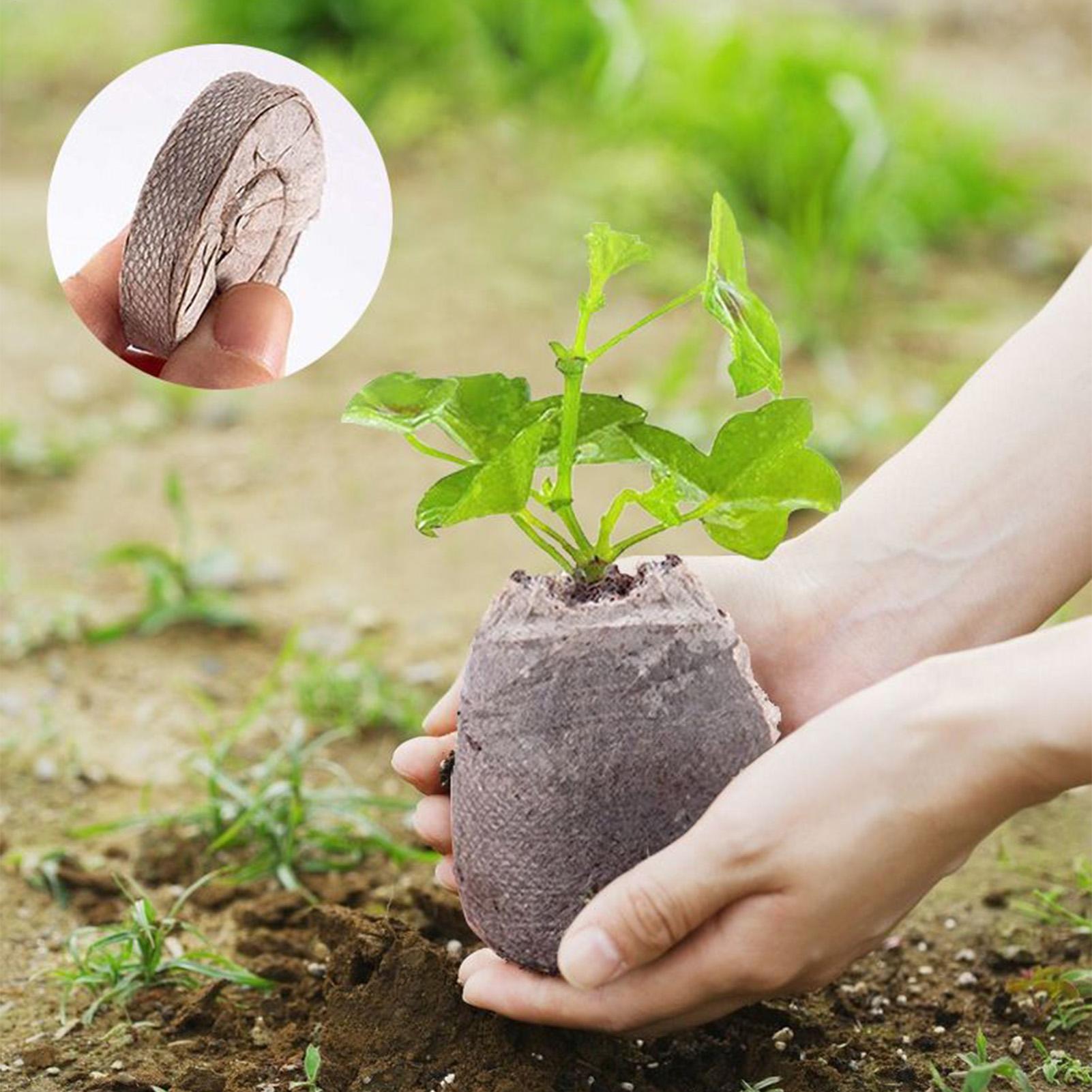 100 stuks potmengselbakjes 30m - Peat Pellet Tray recensie en prijs