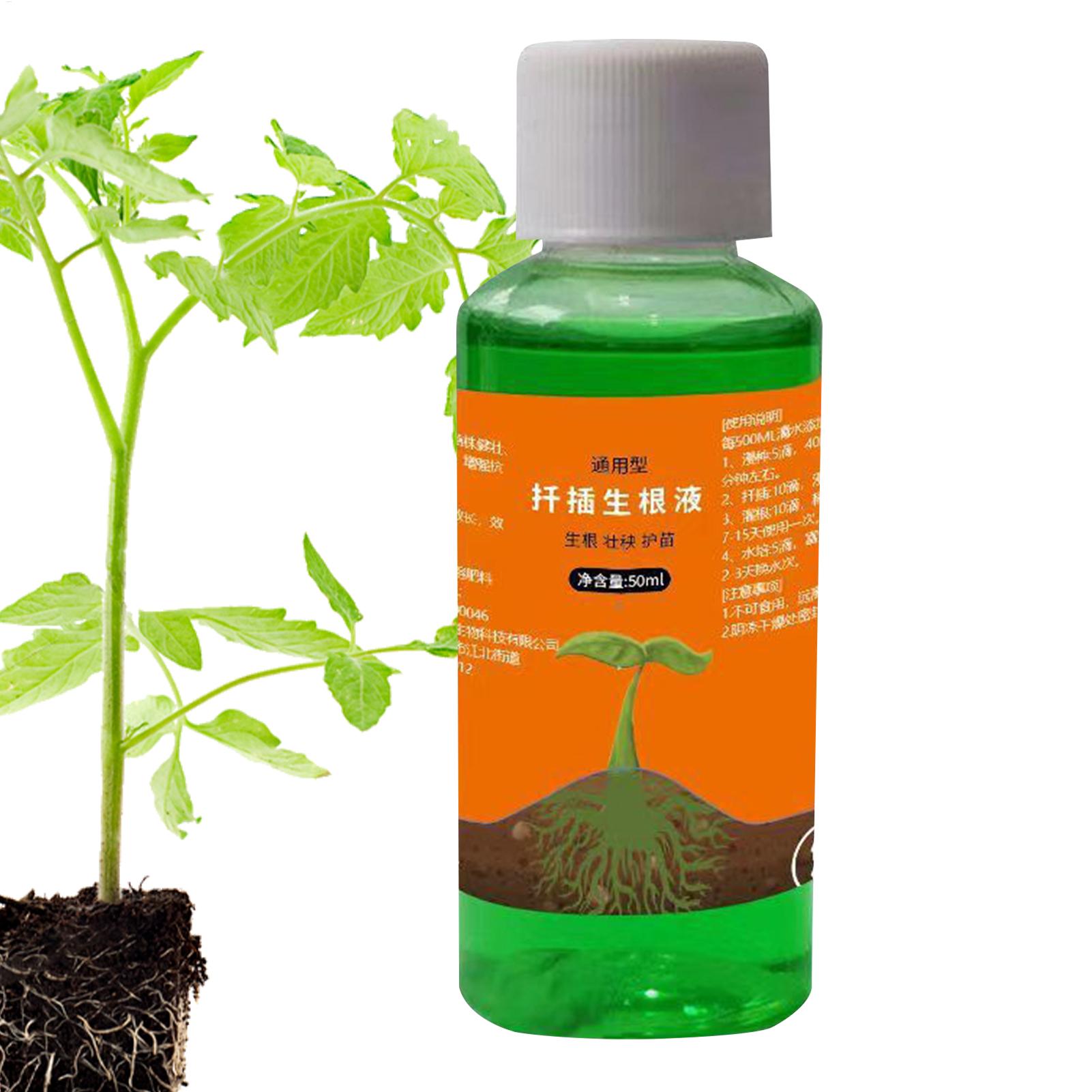 50ml Transplantatie Voedingsop - Root Stimulator Liquid recensie en prijs