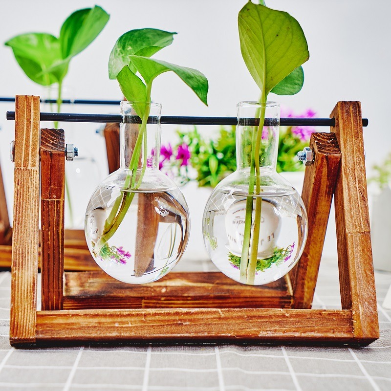 Tafelblad Glazen Planter Voort - Propagation Station Vase recensie en prijs